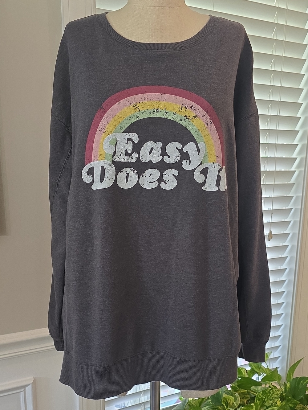 Wildfox Gray Pullover Sweatshirt with Logo Tag